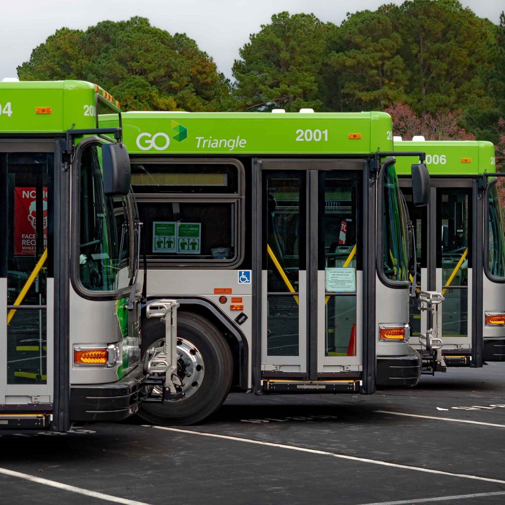 GoTriangle buses lined up
